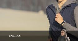 Мультфильмы